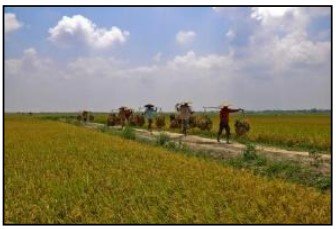 নতুন প্রত্যক্ষ