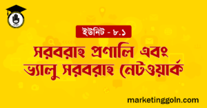 সরবরাহ প্রণালি এবং ভ্যালু সরবরাহ নেটওয়ার্ক